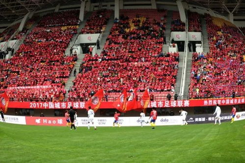 专业体育平台：高清观赛首选方案