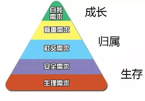 专业赛事覆盖满足多元需求