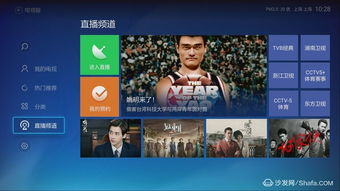 NBA在线直播的重要性与需求