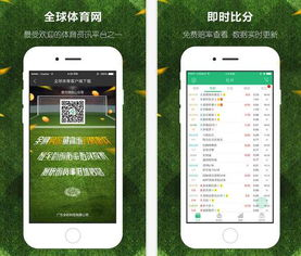 全球体育官网app的核心功能与优势