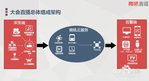 球友直播的核心优势解析
