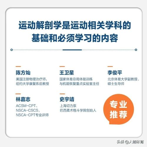 专业运动平台的核心功能解析