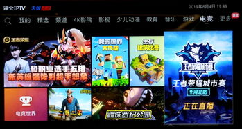 多维度观赛体验升级