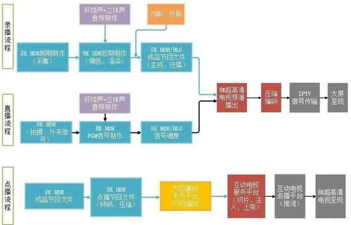 一、播球帝平台核心优势解析