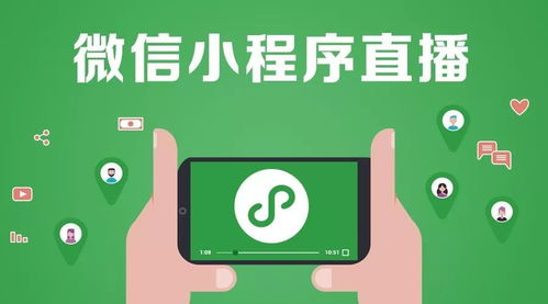 一、功能完善的赛事直播平台