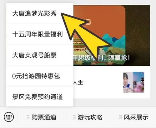 门票购买渠道