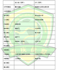 赛况概览