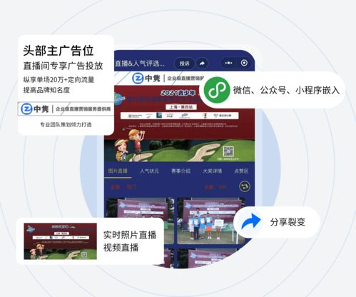 赛事直播基本信息