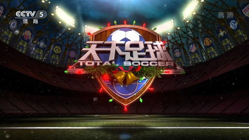 CCTV平台观看世界杯预选赛的三大优势