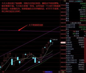 核心主力担纲出征重任
