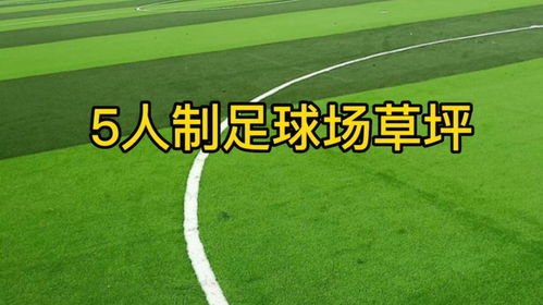 五人制足球场基础建设费用