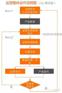 世界杯排名体系运作机制
