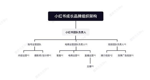 制作方的品牌延续策略