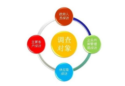 当前积分格局与竞争对手分析