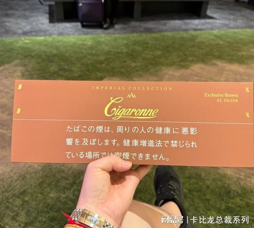 「卡比龙 总裁」的角色特点与魅力卡比龙
在卡比龙的世界里,「卡比龙 总裁」以其独特的角色背景和能力吸引了无数玩家的目光。他不仅具有过人的智慧和决策能力,而且在游戏中体现出了领导者的风范和责任感。通过游戏中的互动和任务,「卡比龙 总裁」将这些特点呈现得淋漓尽致,为玩家提供了深度的角色扮演体验。
在游戏中的角色定位