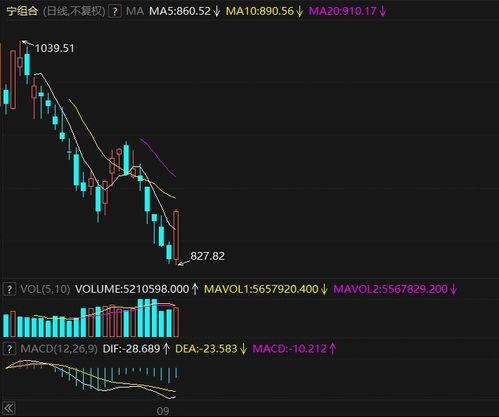 关键战役表现与积分走势