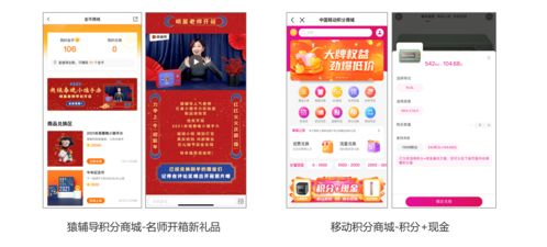 核心积分数据解析