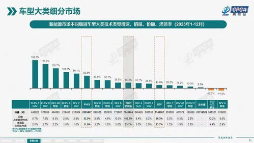 最新积分榜深度解析（截至2024年6月）
