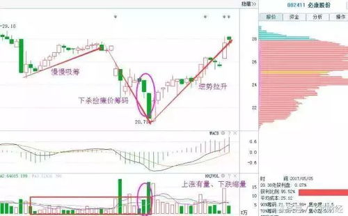 亚洲让球盘基本规则解析