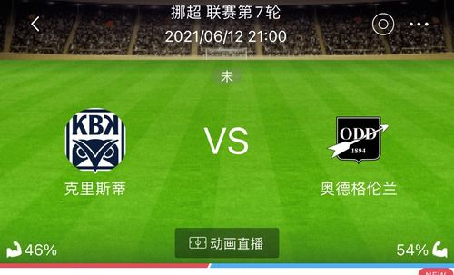 一、专业足球赛事信息查询系统