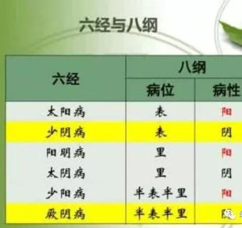 竞彩4串1基础概念解析