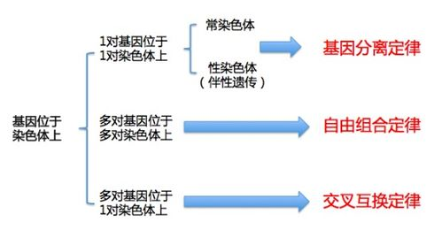 核心概念定义差异