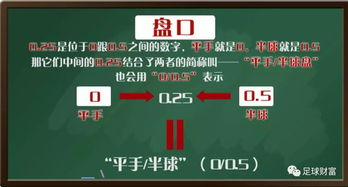 竞彩足球基础计算公式解析