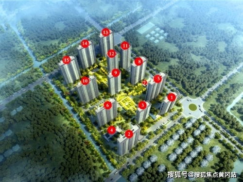 足球竞彩平台的核心价值与选择标准
