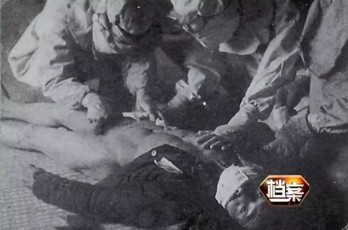 战术演变的活体标本