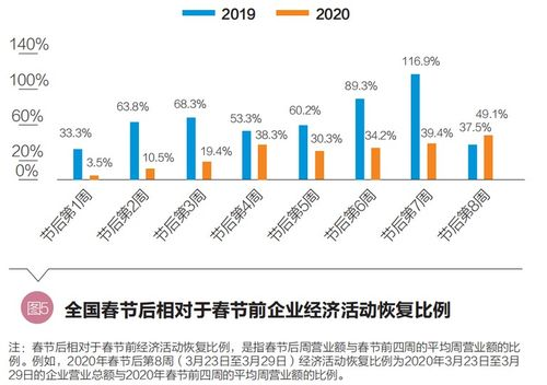基础分析：赛事数据与球队状态解读
