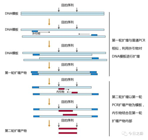 基础玩法类型解析