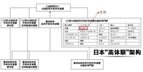 一、南美预选赛基本架构与历史沿革