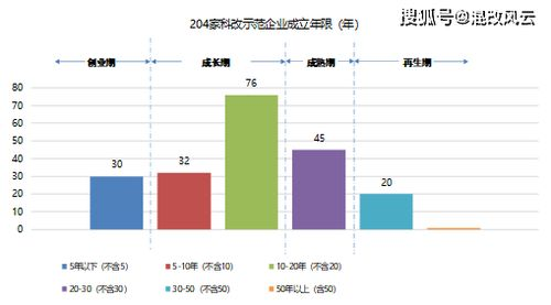 当前积分排名全景透视