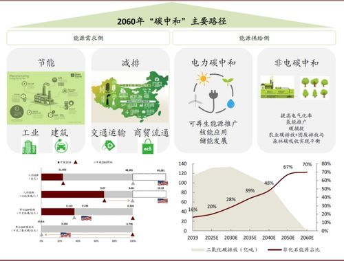 全球预选赛框架与时间轴规划