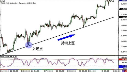 一、历史性扩军后的赛事时间框架