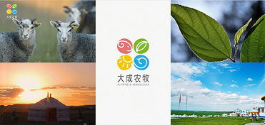 一、创新赛制下的竞技新格局