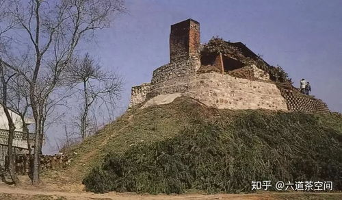 赛事起源与历史沿革