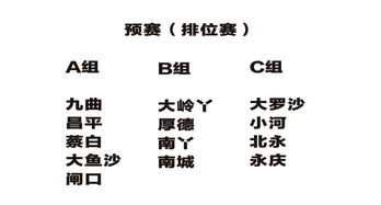 赛事基本框架与分组规则