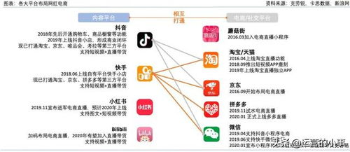 一、官方授权直播平台精准定位