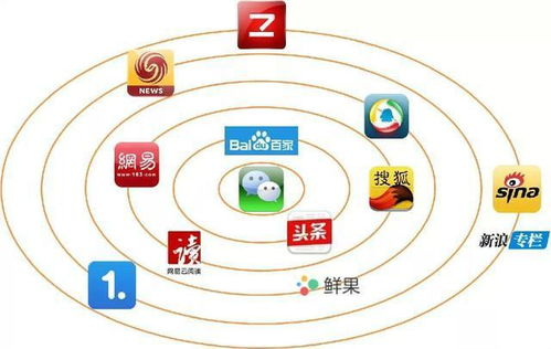 一、专业平台的核心价值定位