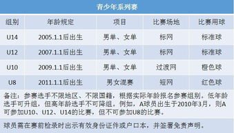 赛制规则与积分体系