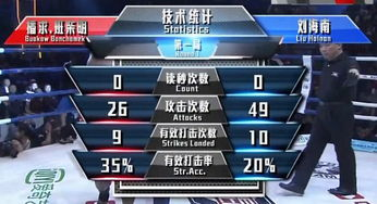 赛事数据与技术统计总览