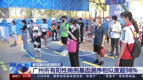 四号位的战术基因溯源