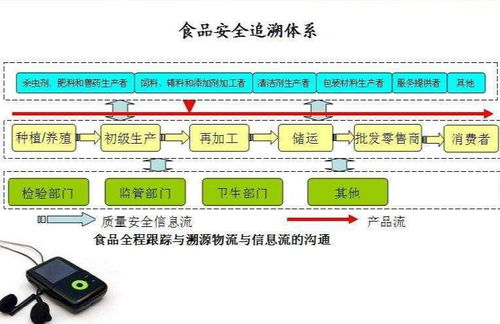 传统号码体系溯源