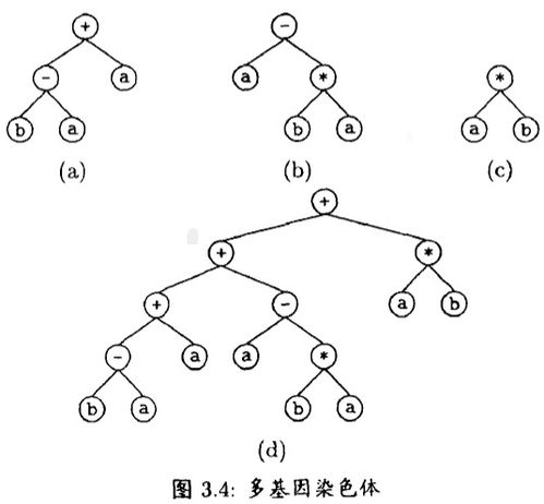 4号位的战术基因解码