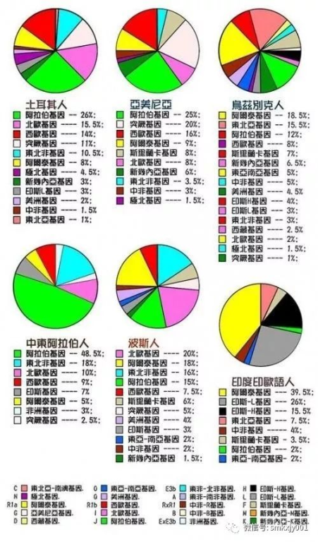 4号位的基因图谱