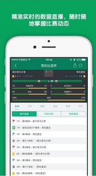 一、主流足球赛事比分查询渠道盘点