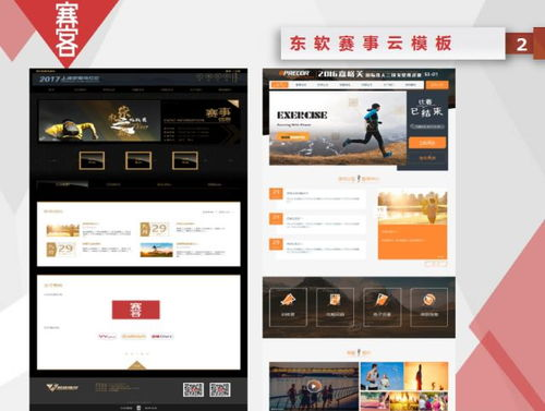 专业赛事数据服务解析