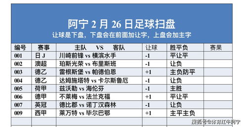 竞彩足球计算器的核心运作机制