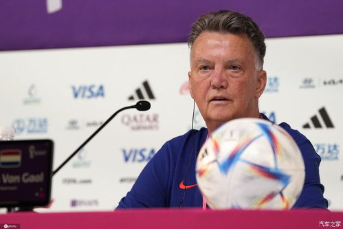 2022年世界杯八强概览